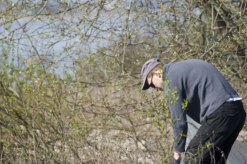 paljasaare_teeme2008 015.jpg